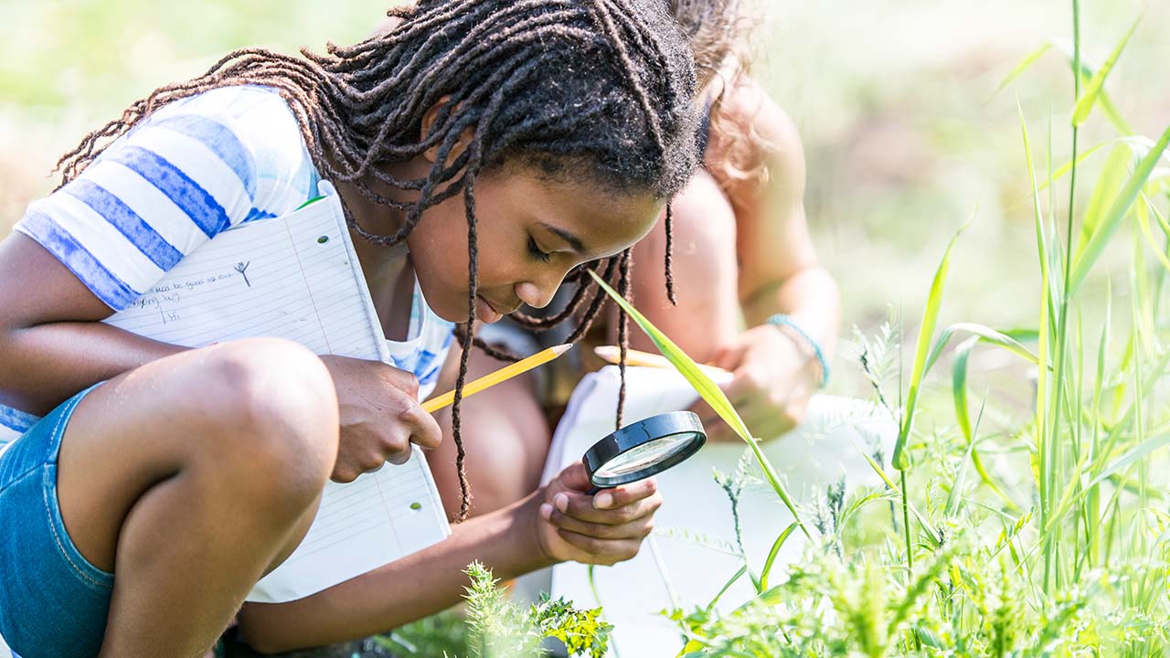 programas baratos ao ar livre para crianças com educação ambiental